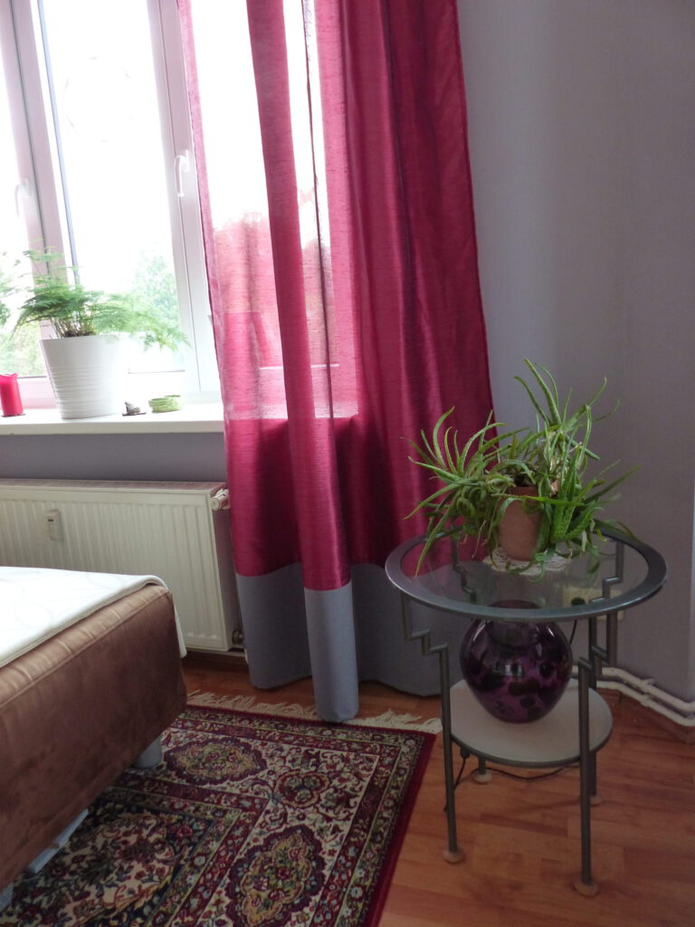 Wohnzimmer Blick 2 nachher mit Teppich und Blumentopf-Ständer