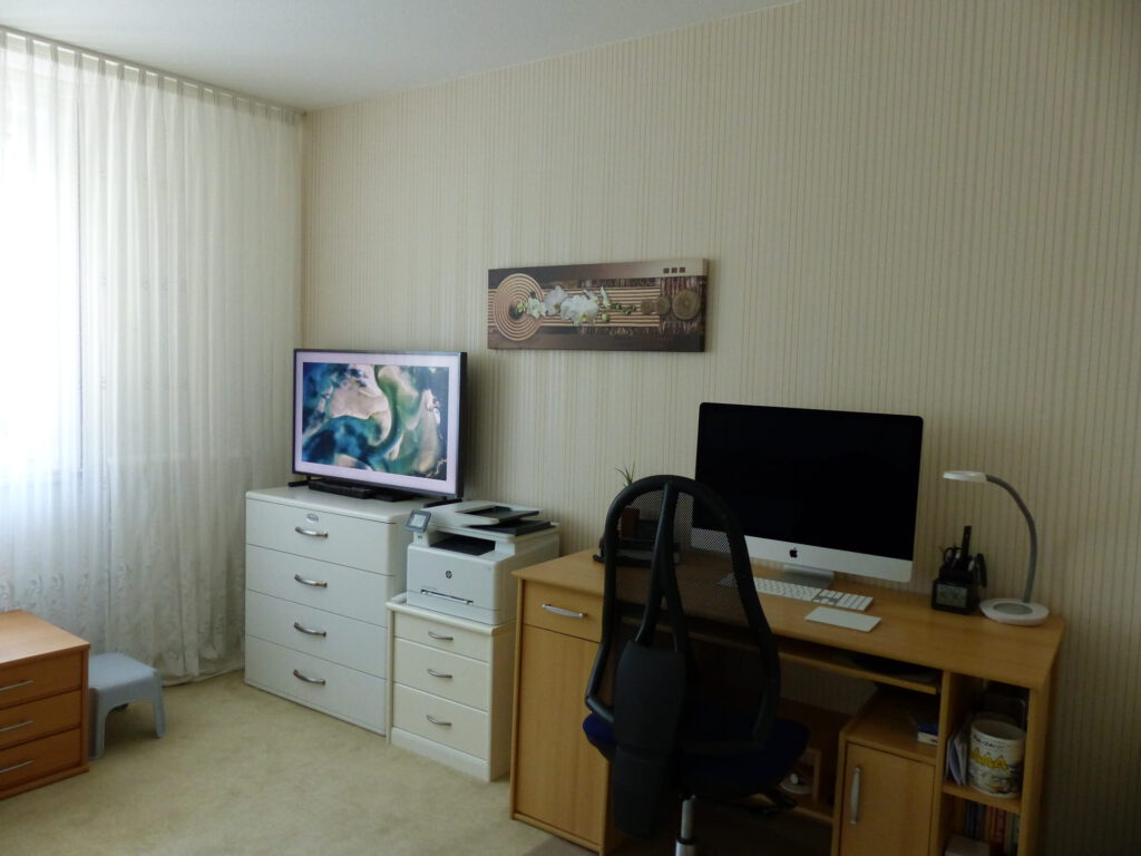 Arbeits-Schlafraum Blick 4 vorher mit TV, Drucker, Wandbild und Arbeitsplatz
