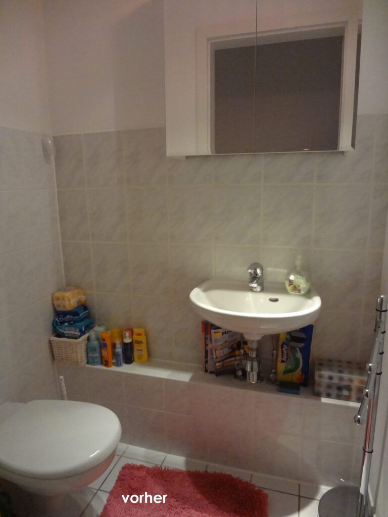 Gaeste-WC mitte vorher mit diversen Toilettenutensilien