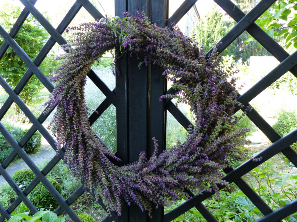 lila Sommersalbei im Garten-als Kranz gebunden am Holzzaun