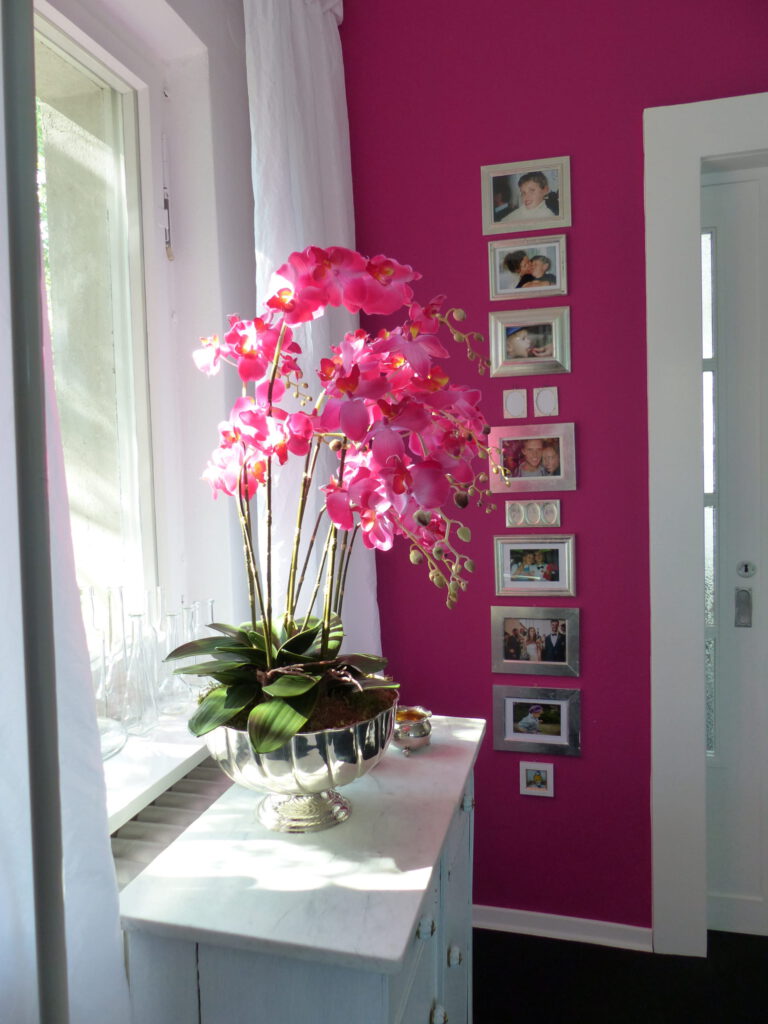 pinke Orchidee Fertig vor pinker Wand