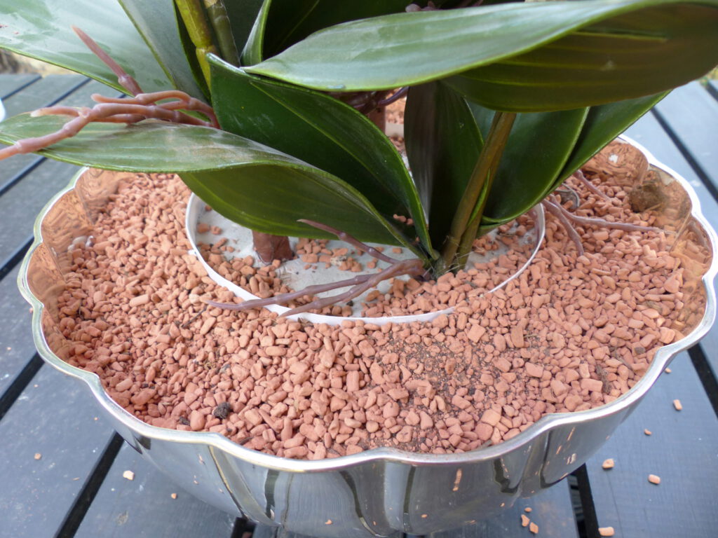 pinke Orchidee inArbeit Sand auffüllen