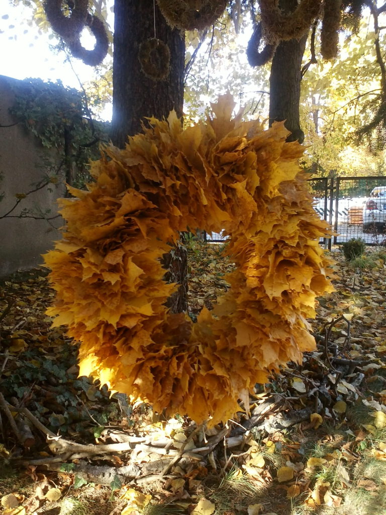 Üppiger Platanen-Blätterkranz im Garten