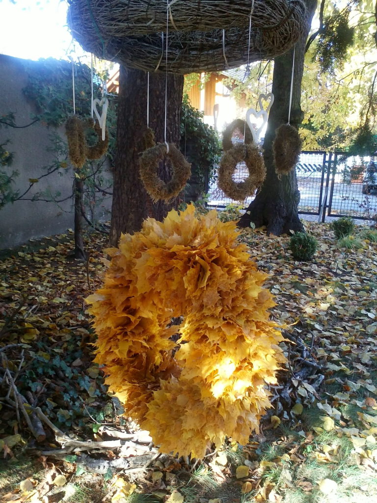 Üppiger Platanen-Blätterkranz unter Zweigekranz