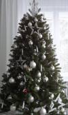 Weihnachtsbaum-einfach-B1721-01